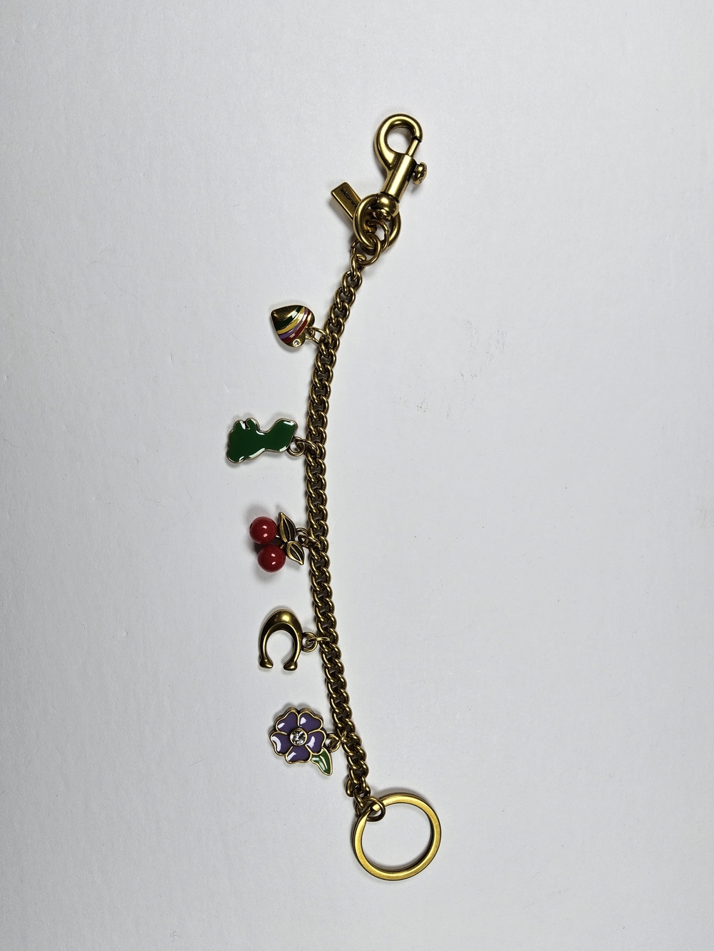 Coach Gold Charm Key Chain with Green Dino, Red Cherries & Purple Flower